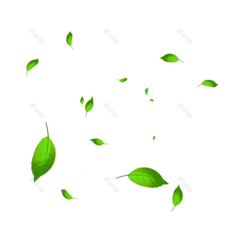 叶子图片,绿叶元素,植物素材PNG,春天免抠素材